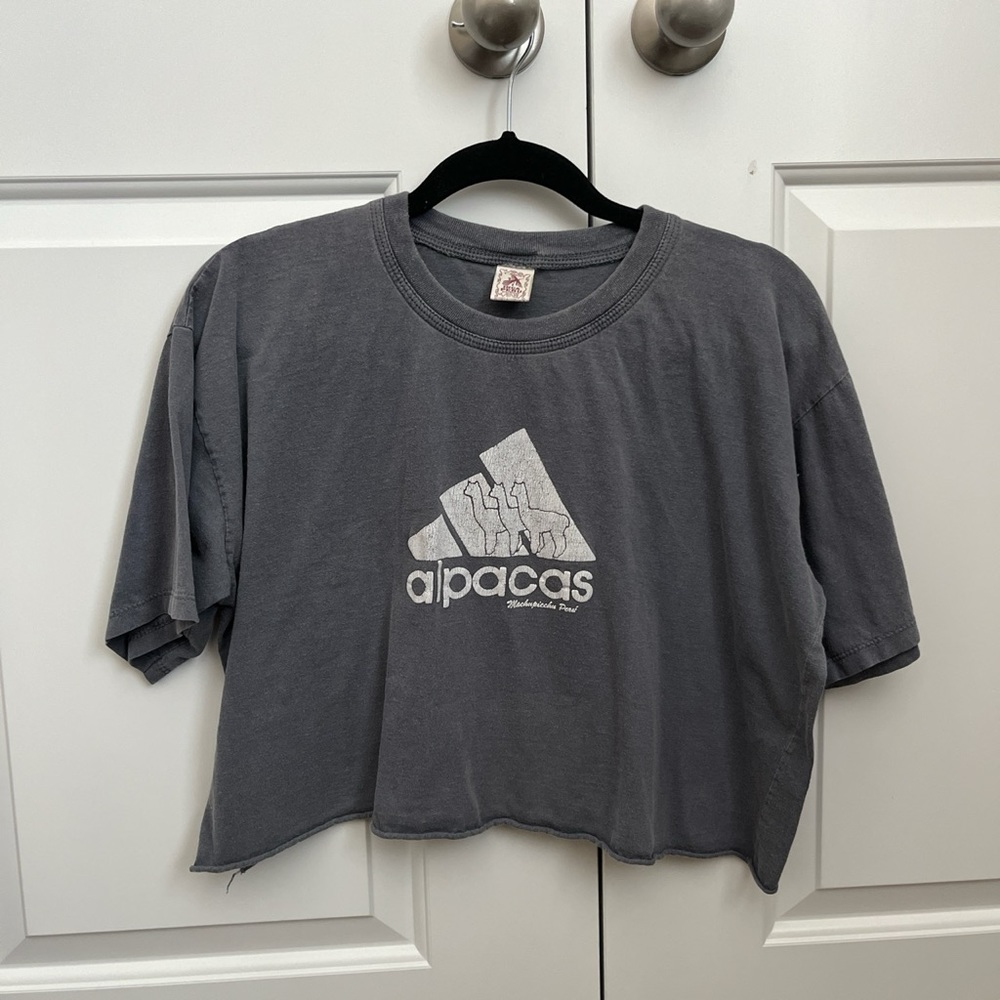 Grey “Alpacas” Crop